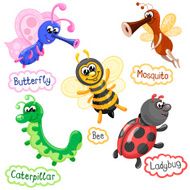 Insects various types set