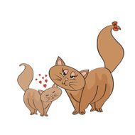 new baby kitten with his mother N17