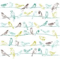 Birds Seamless Background