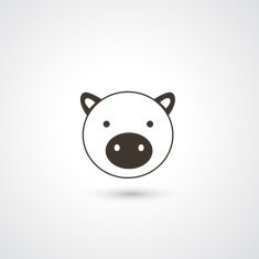 Pig head N2