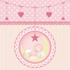 Sleeping baby girl N3