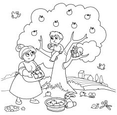 Apple Tree N13