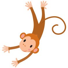 Little funny monkey N2