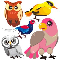 five birds on white background N9