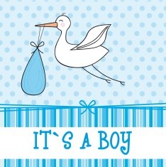 Baby shower card N219