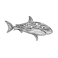 Shark zentangle