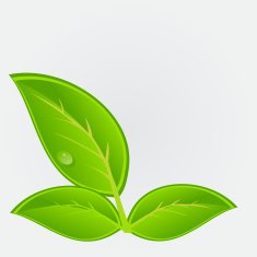 Environmental icon with plant Vector illustration