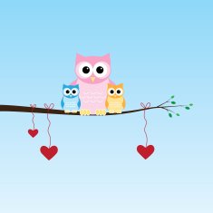 Owl Family N5