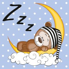Sleeping Teddy Bear N3