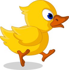 cute little baby duck cartoon running
