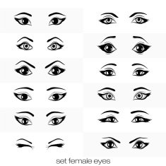 set of views a female eye