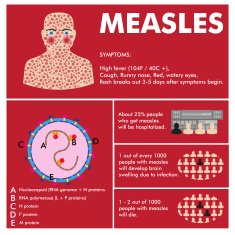 vector measles infographic