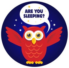 owl at night N2