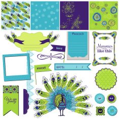 Peacock Theme N2