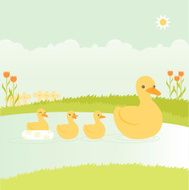 Mother duck swimming with her ducklings