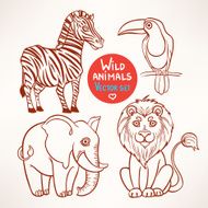 jungle sketch animals