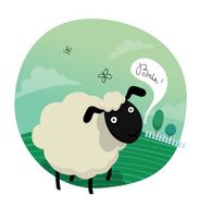 Sheep in a field
