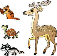 Cartoon Animals N24