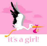 stork delivering a baby girl N2