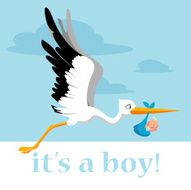 stork delivering a baby boy N2