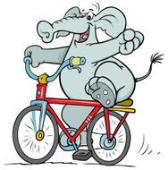Elephant N34