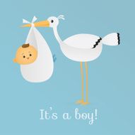 it&#039;s a boy N17