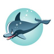 cheerful dolphin