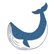 Whale illustration