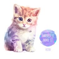 Vector set of watercolor illustrations Cute cat N2