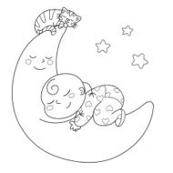 Sleeping Baby N21