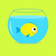 Yellow fish in the aquarium Card