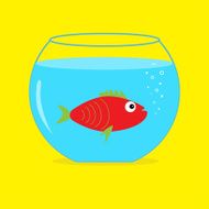 Red fish in the aquarium Card