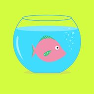 Pink fish in the aquarium Card