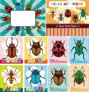 bug card N5