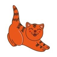 The red cat