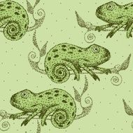 Chameleon N5