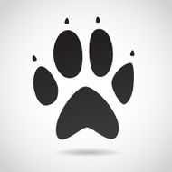 Animal print VECTOR icon
