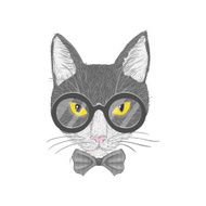 Hipster cat with yellow eyes