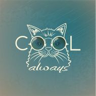 Funny muzzle cat in sunglasses closeup