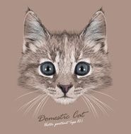 Vector Portrait of Domestic Kitten N3