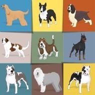 Set of dogs with square background