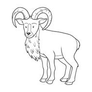 Coloring book (urial) N3