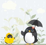 mum and baby penguin in raining day