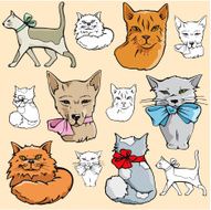 Pet Illustrations IX Cats (Vector)