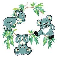 cartoon koala bears