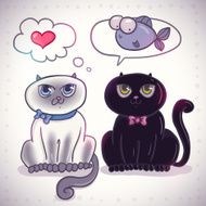 Couple of cute black and white kittens