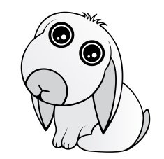 baby rabbit N2