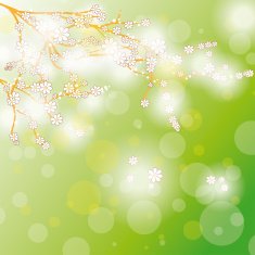 Easter Card Background Cherr Tree Flowers