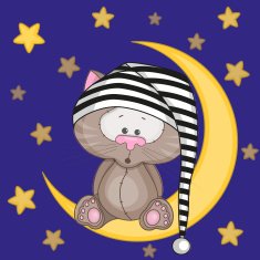 Cat on the moon N2