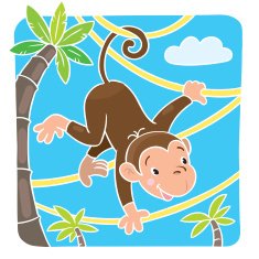 Little funny monkey on lians N2